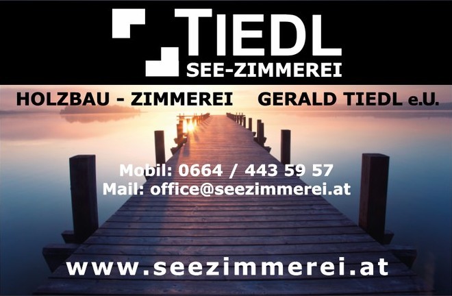 logo_tiedl logo_tiedl